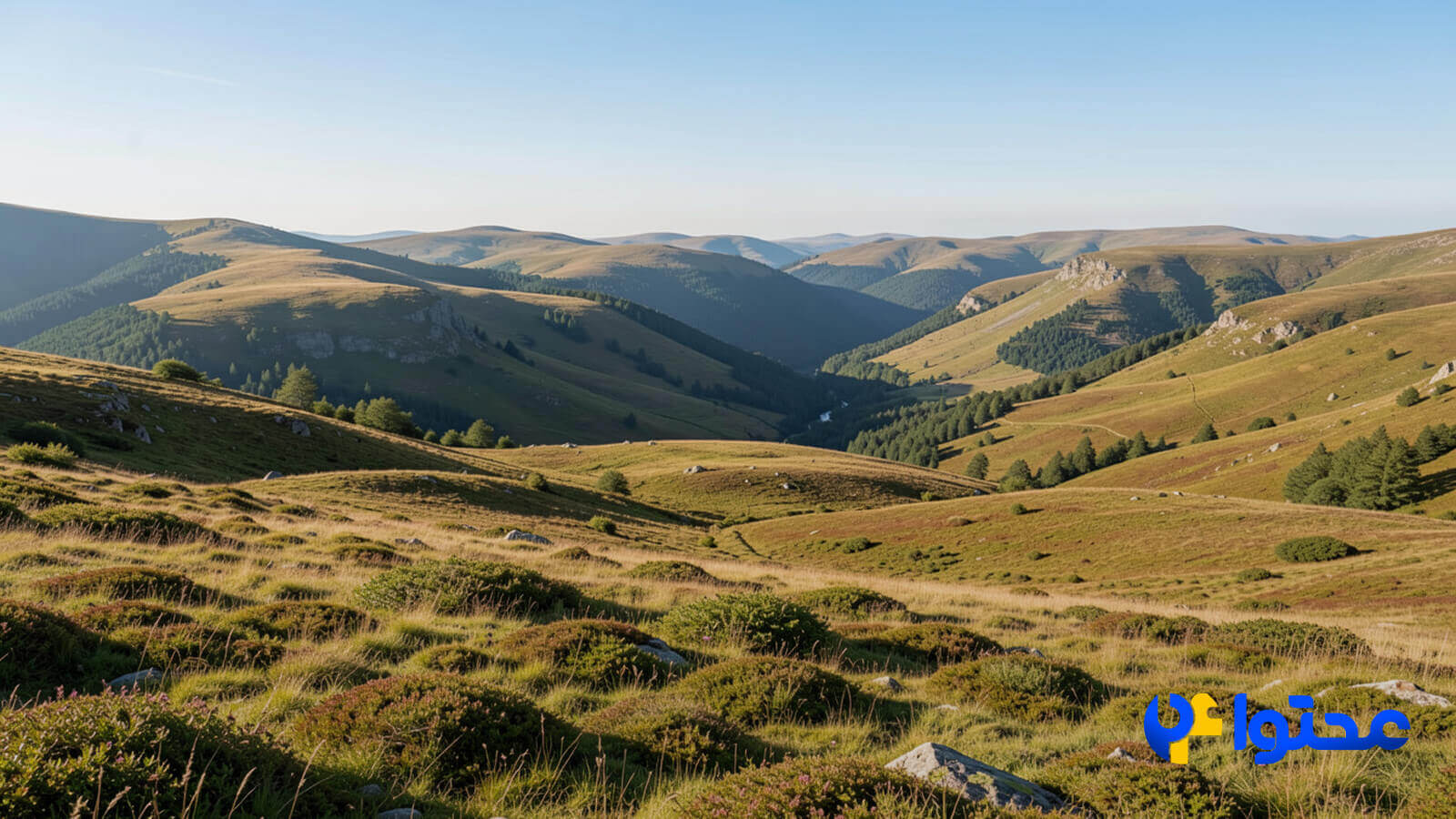 آموزش گام_به_گام ادیت عکس با هوش مصنوعی در فتوشاپ